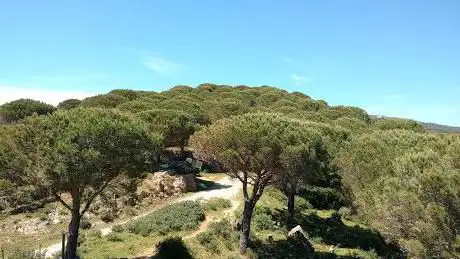 Photo de Mirador Puerto De Las Asomadillas