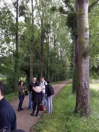 Le Petit Chemin