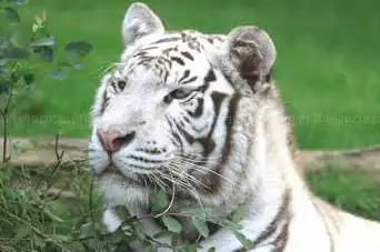 Photo de Asson Zoo