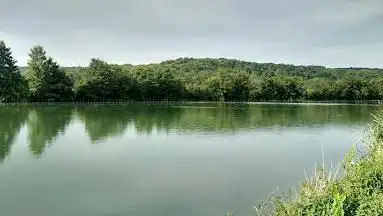 Photo de Espace Fitness en Bord de Marne