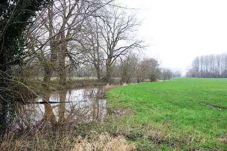 Wiestermeers