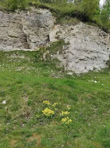 Réserve naturelle régionale des anciennes carrières de Cléty