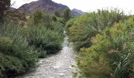 Photo de Presa de Tavizna