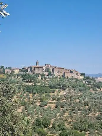 Photo de Belvedere