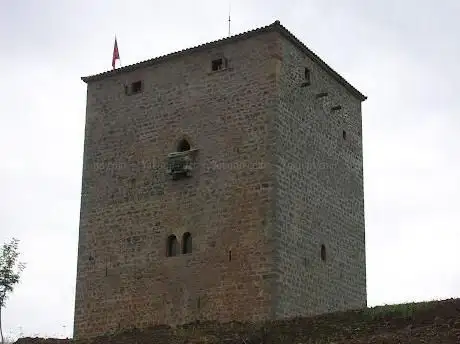 Photo de Torre de RubÃ­n de Celis