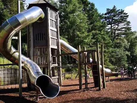 Photo de Fionn's Giant Adventure