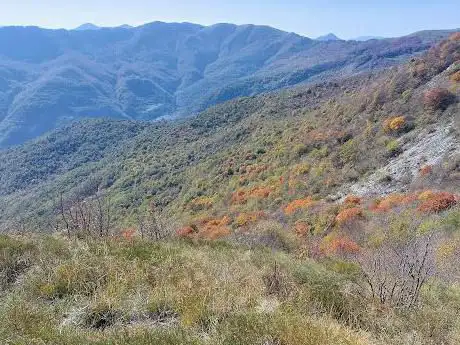 Monte Cosfrone