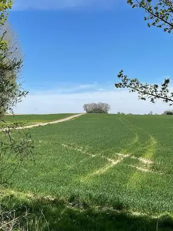 Photo de Tumulus d'Hottomont