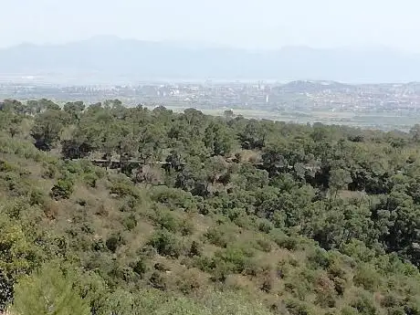 Foresta Demaniale Campidano