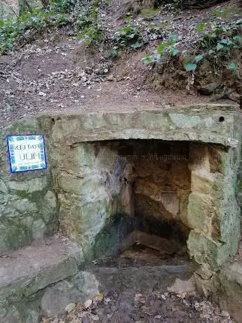 Photo de Font d'en Miliu