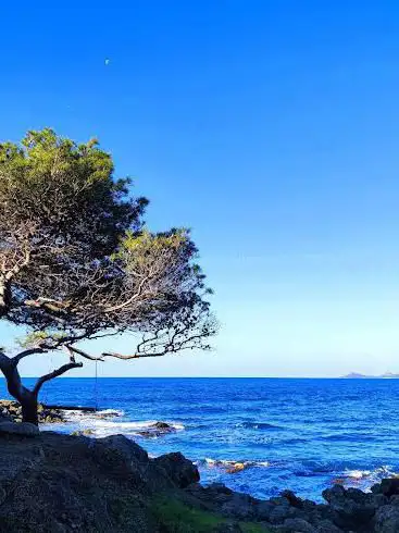 Photo de Sentier du littoral saint aygulf