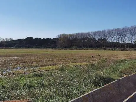 Photo de Mas Pinell de Baix