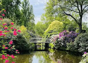 Arboretum trompenburg