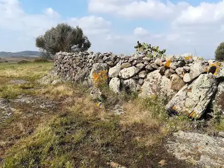 Su corrazzu de is Pillois - circolo megalitico
