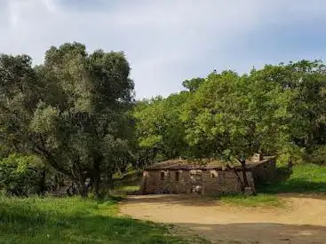 Randonnée Chemin de la Chapelle Notre-Dame-de-la-Compassion