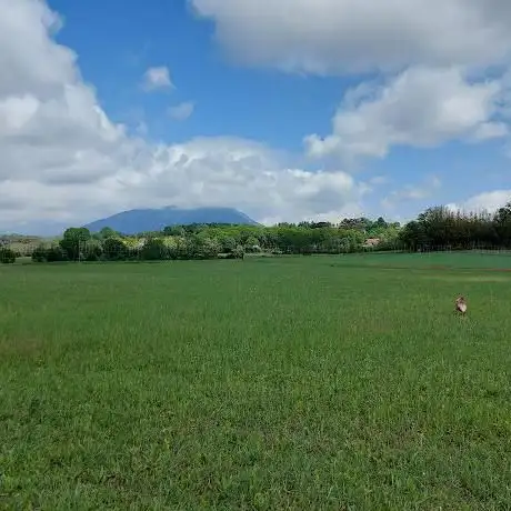 Campo Carlo