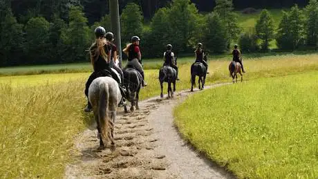 Photo de Ponyhof