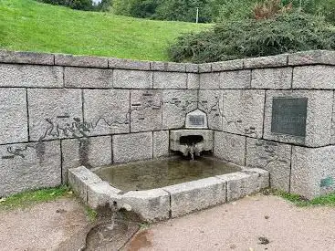 Source of the Moselle