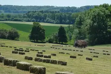 Domaine des ColibrYs