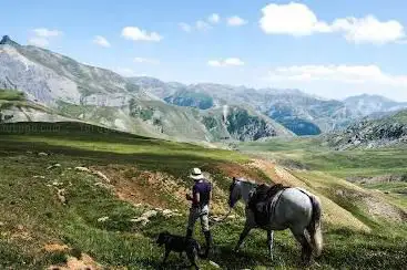 Photo de Horse and Ventures