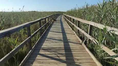 Photo de Paseo SofÃ­a