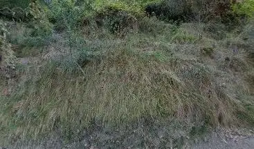 S. Isidoro