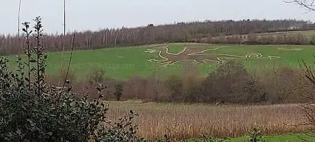 Bures Dragon
