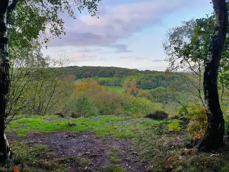Photo de The Ercall Nature Reserve