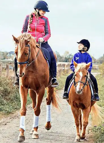Royale Equestrian Centre
