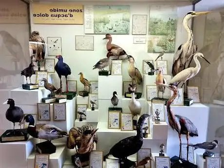 Museo Civico Ornitologico Gustavo Adolfo Carlotto