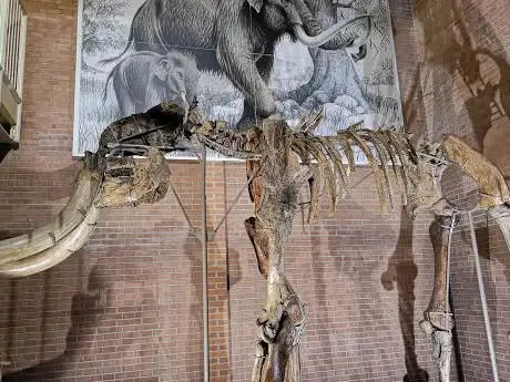 Photo de Musei della Venere e dell'Elefante