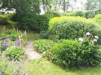 Le jardin de Bubu