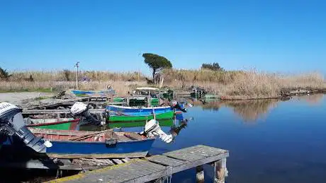 Parco dello Stagno di Santa Giusta