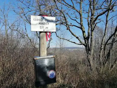 Photo de Monte Cosici/Košnik