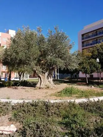 Photo de Centro Park