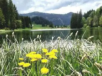 Lac et Marais de Morgins