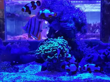 Photo de Big On Fish