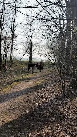 Start Wandelingen: Kempen-Broek Smeetshof