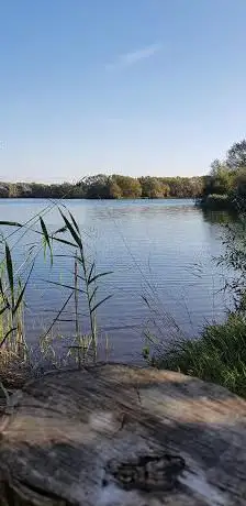 Photo de Ferry Lagoon