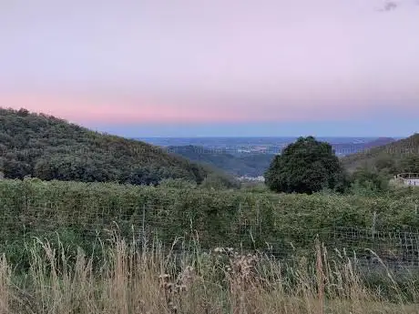 Photo de Sentiero del Monte Venda n.4