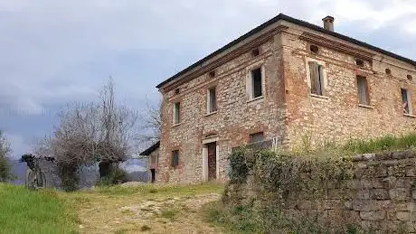 Belevedere