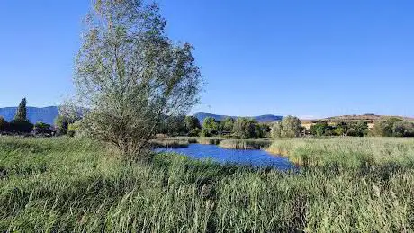 Photo de Laguna de Bayas