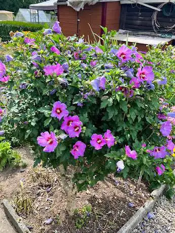 Jordanˋs Garden