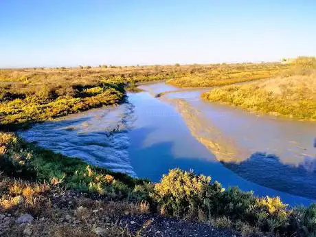 Photo de Magic point 'Las Salinas' (Estero viewpoint)