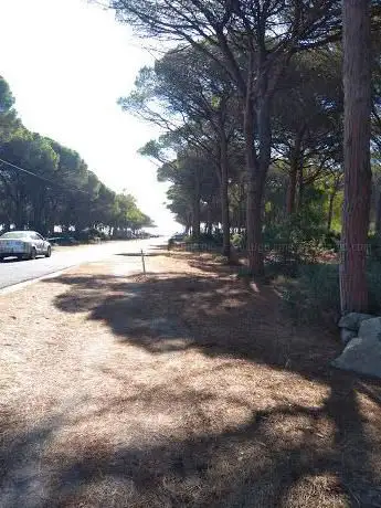 Pista ciclabile
