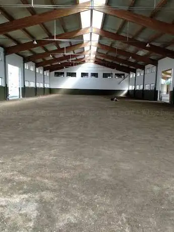 Il Paddock