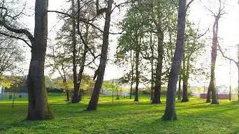 Garenne Woods