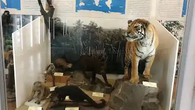 Photo de Zoological Museum, Catania