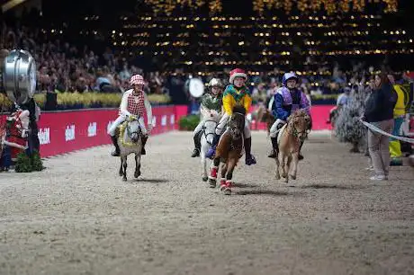 Photo de Jumping Mechelen