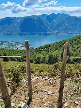 Photo de Wanderweg Cardada-Cimetta